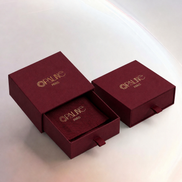 Boucles d'oreilles Lia OPALINE PARIS en or avec détails élégants, portée sur une oreille.